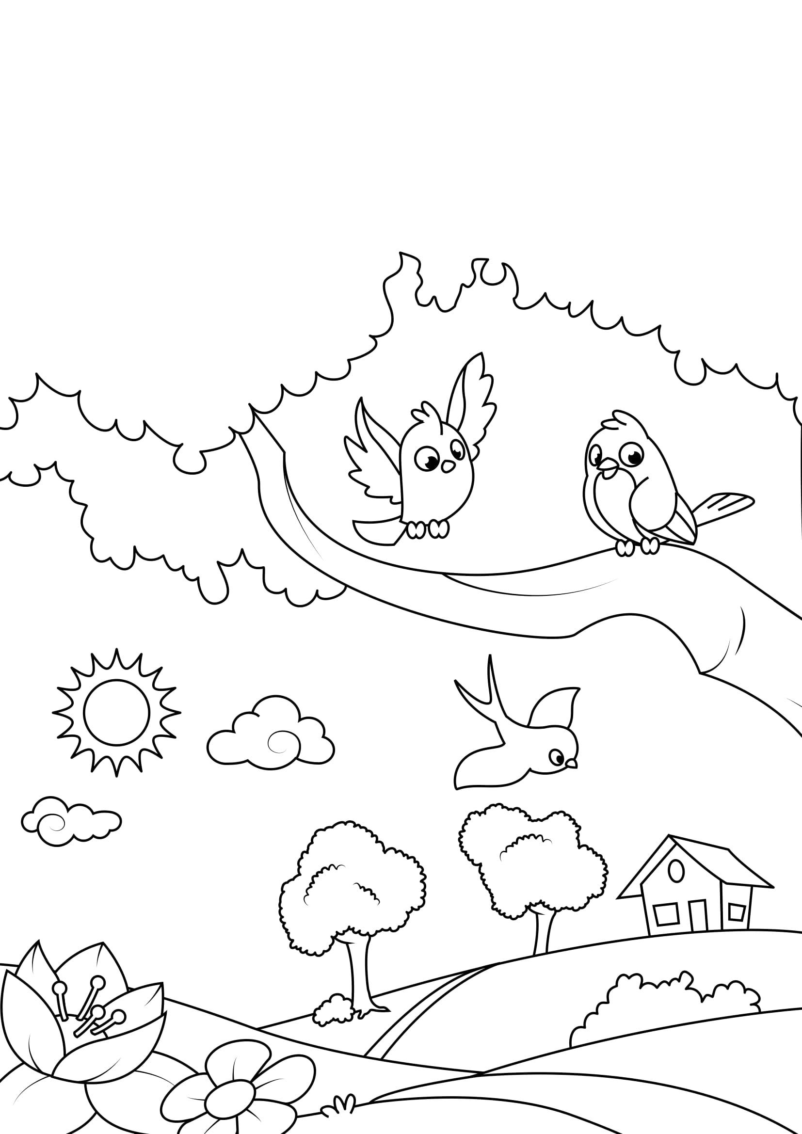 primavera, pA¡jaros en el jardAn Dibujo para colorear primavera, pA¡jaros en el jardAn