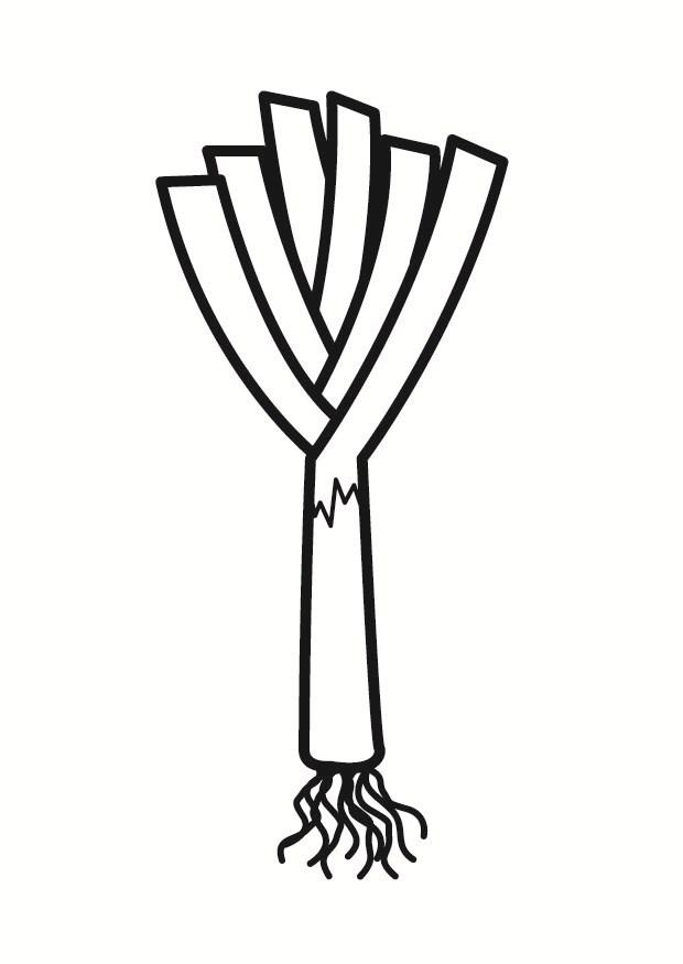 puerro Dibujo para colorear puerro