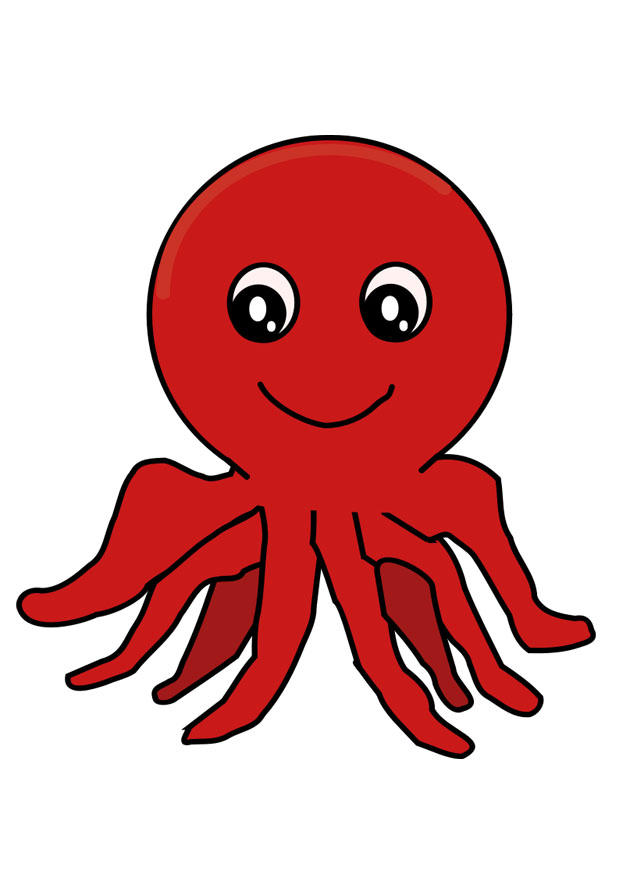 pulpo Imagen pulpo
