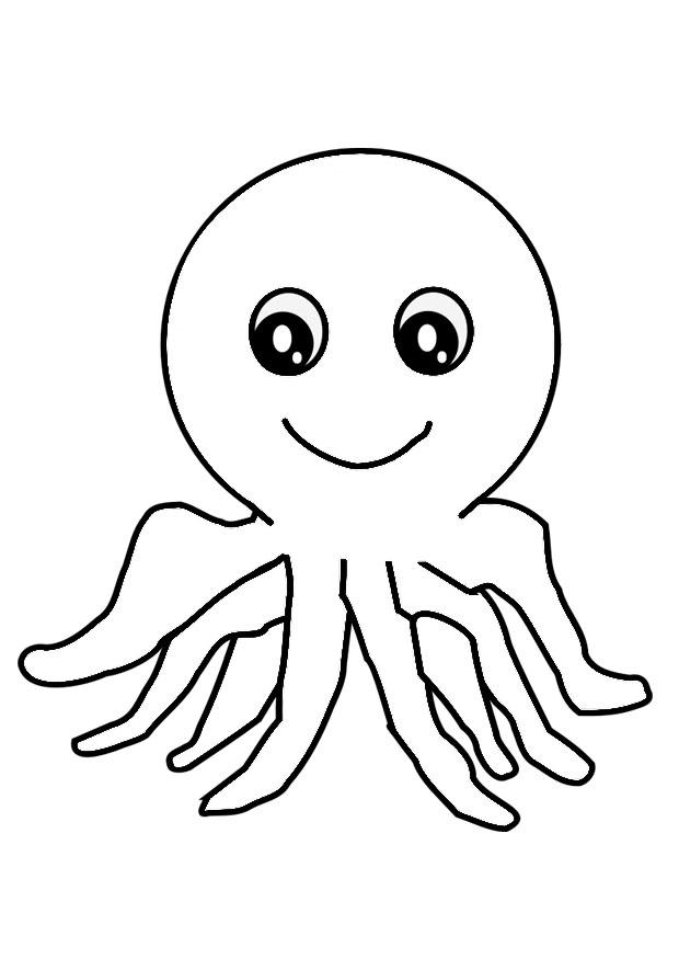pulpo Dibujo para colorear pulpo