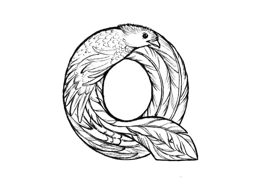 q-quetzal Dibujo para colorear q-quetzal