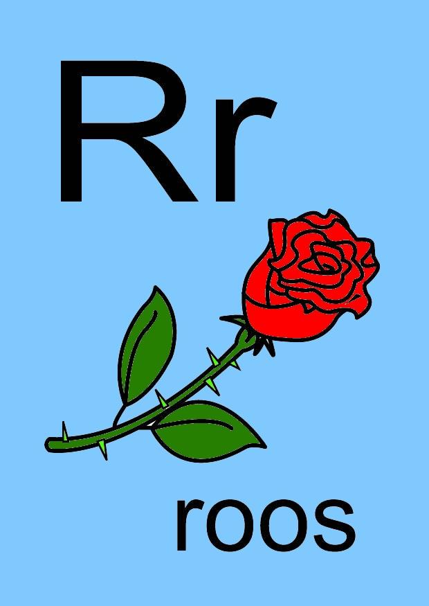 r Imagen r