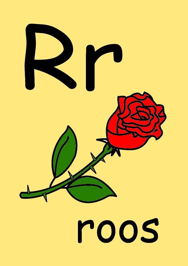 r Imagen r