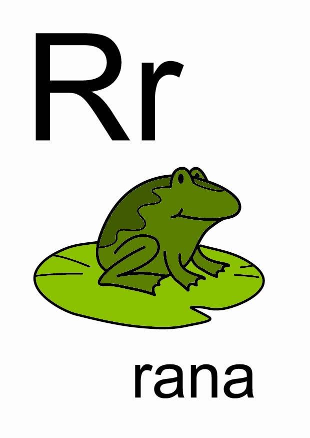 r Imagen r