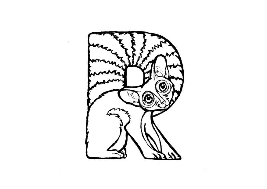 r-ringtail Dibujo para colorear r-ringtail