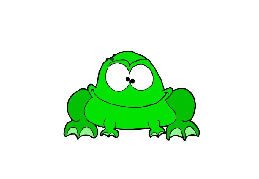 Imagen rana
