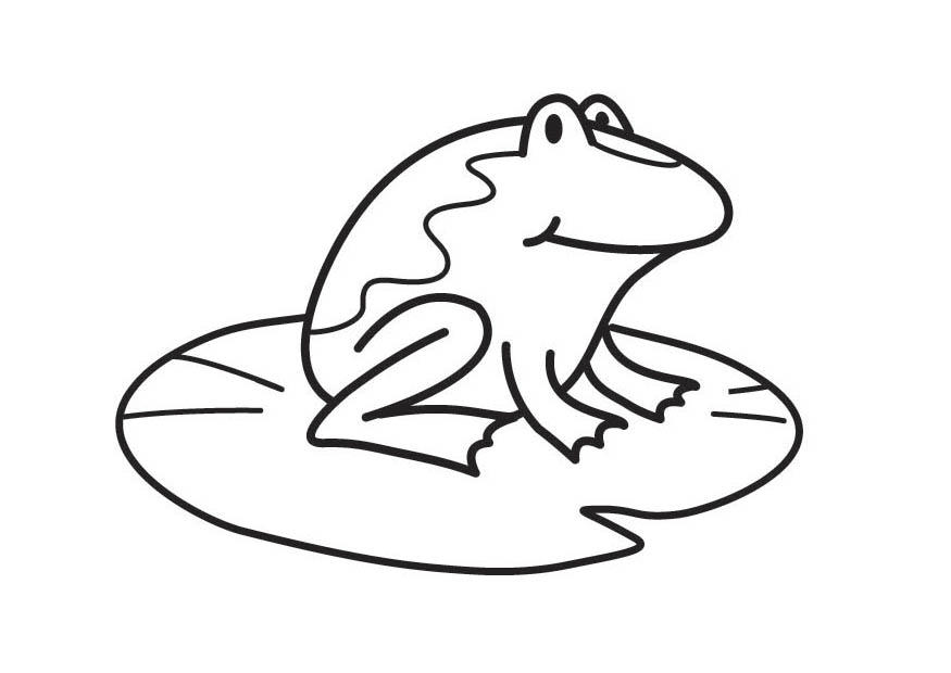 rana Dibujo para colorear rana