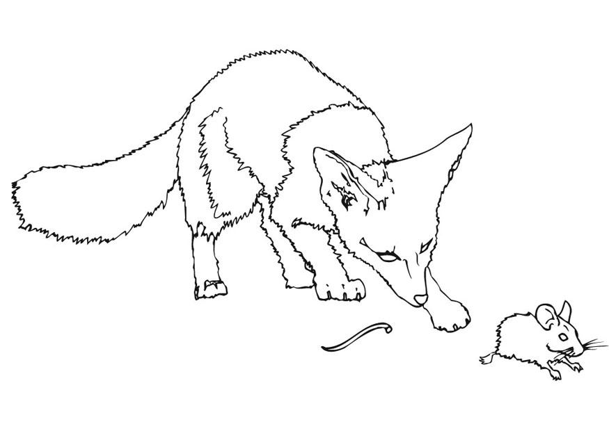 ratA³n espinoso Dibujo para colorear ratA³n espinoso