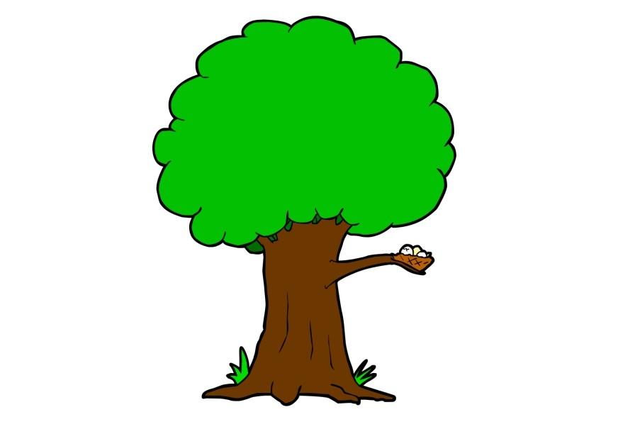Arbol Imagen Arbol