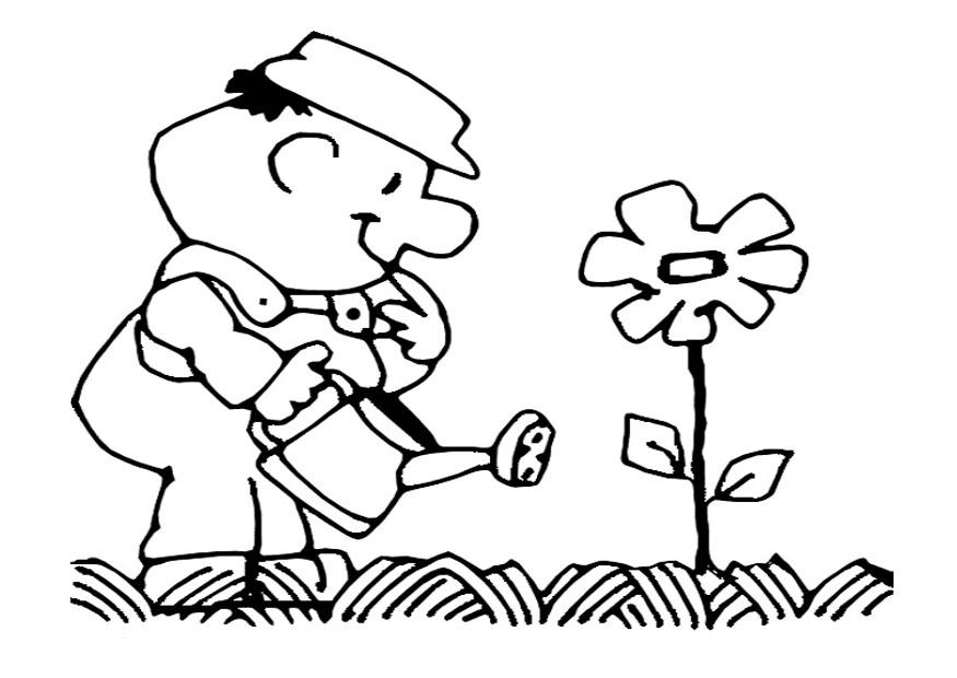 regar las flores Dibujo para colorear regar las flores