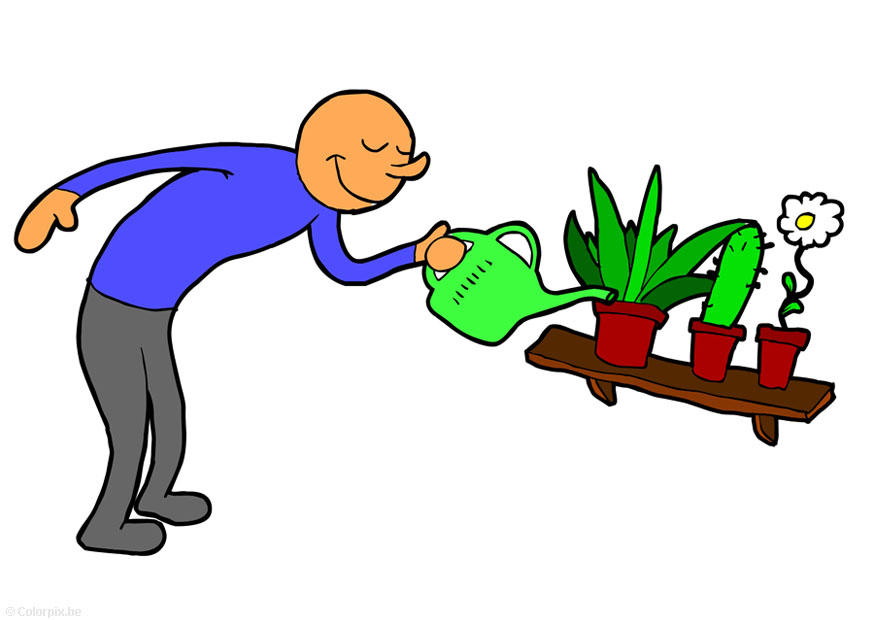 regar las plantas Imagen regar las plantas