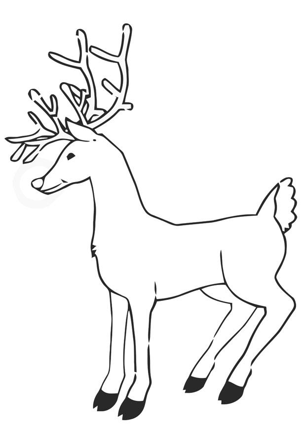 reno Dibujo para colorear reno