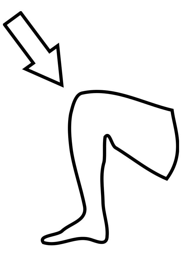 rodilla Dibujo para colorear rodilla