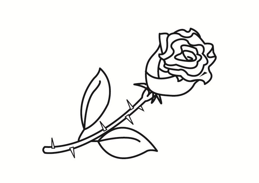 rosa Dibujo para colorear rosa