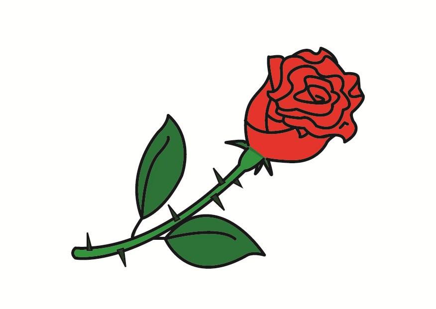 rosa Imagen rosa