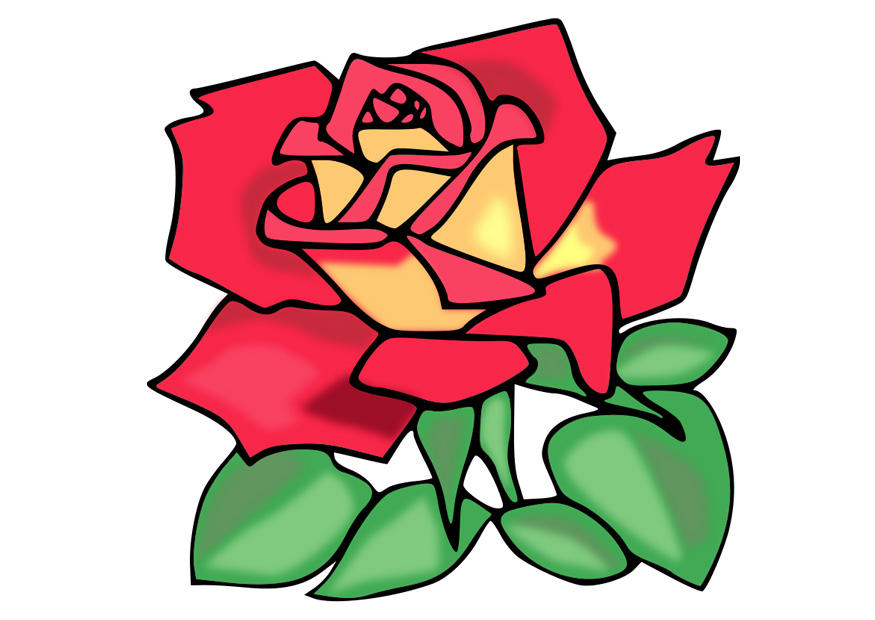 rosa Imagen rosa