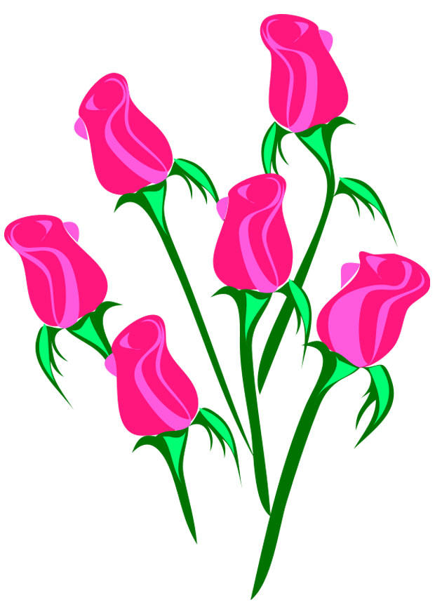 rosas Imagen rosas