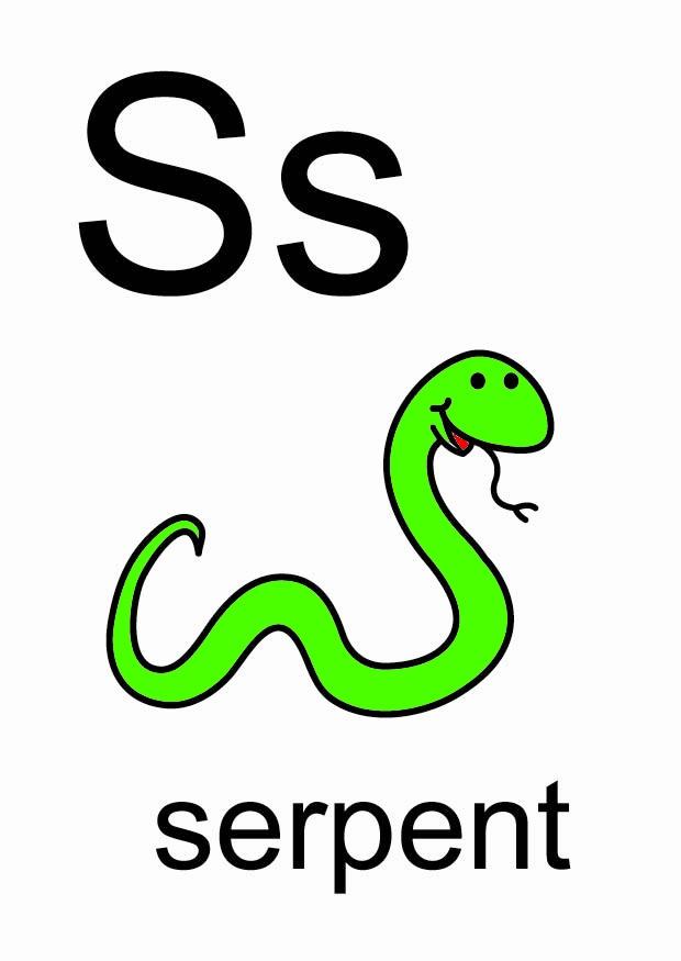 s Imagen s