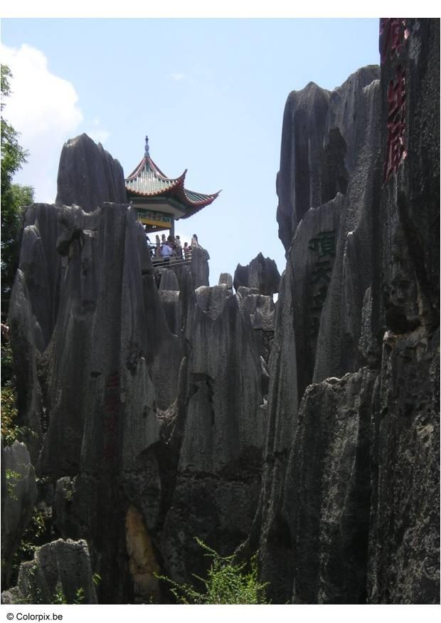 Foto selva de piedra kunming