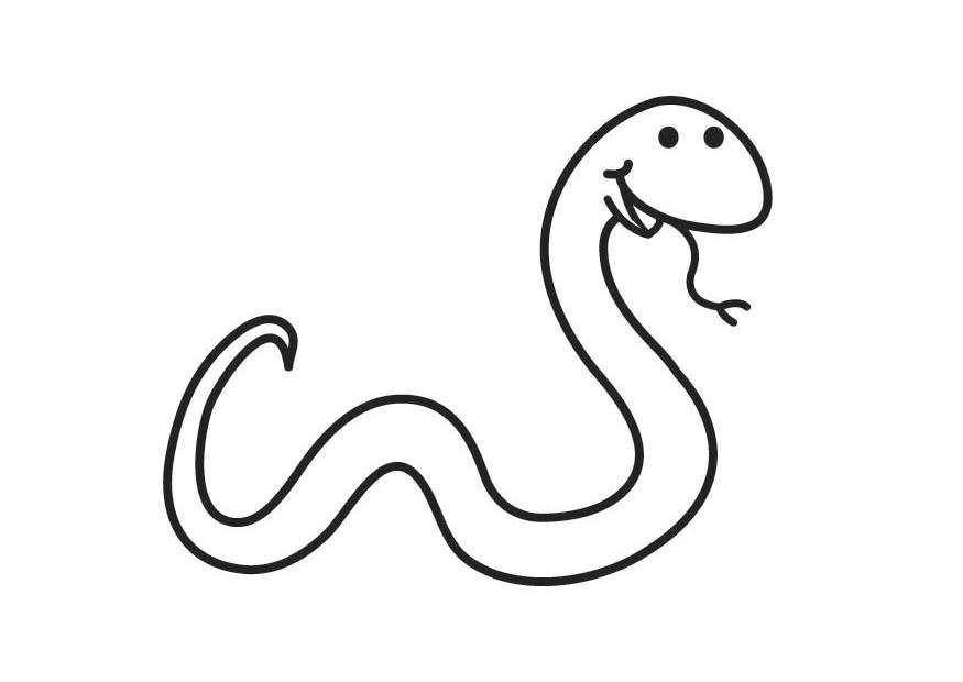 serpiente Dibujo para colorear serpiente