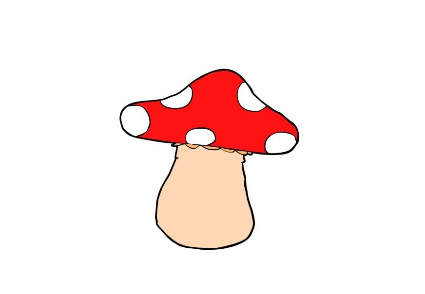 seta Imagen seta
