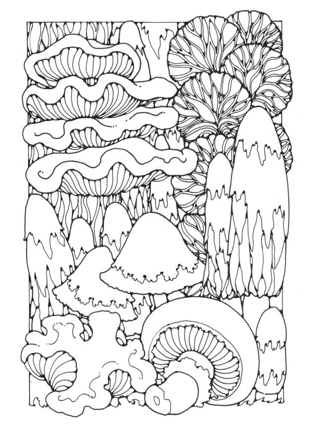 Dibujo para colorear setas