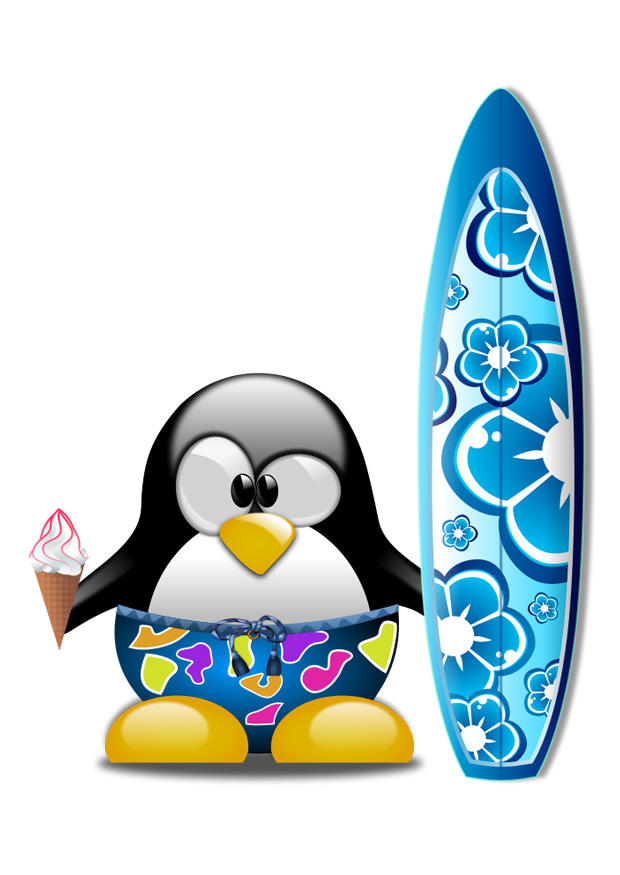 surfear Imagen surfear
