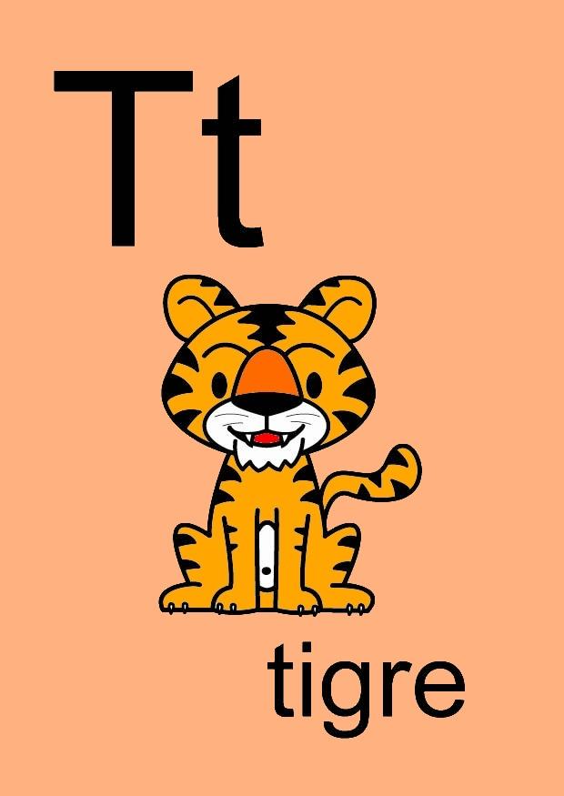 t Imagen t