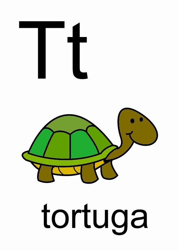 t Imagen t
