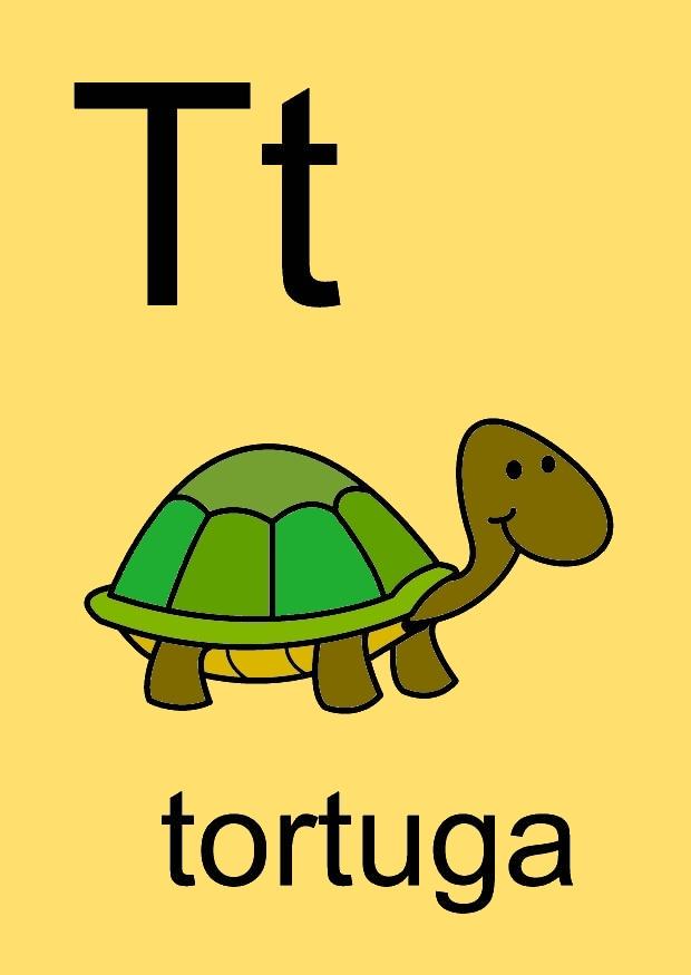 t Imagen t