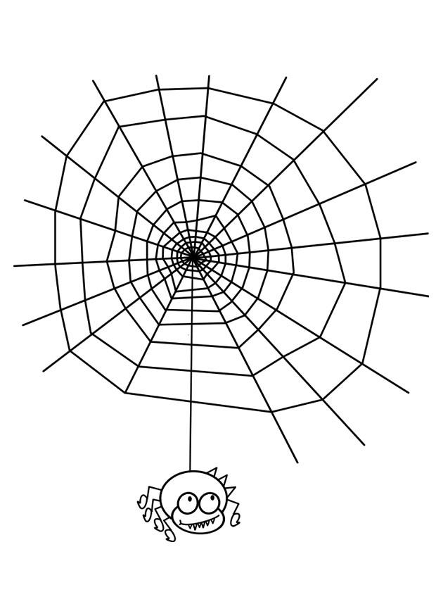 Dibujo para colorear tela de arana con arana