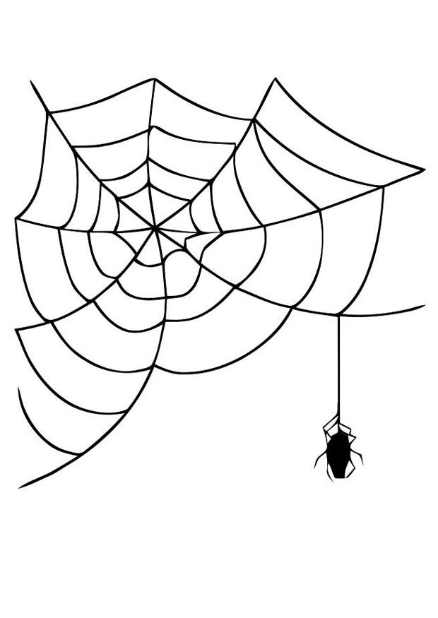 telarana con arana Dibujo para colorear telarana con arana