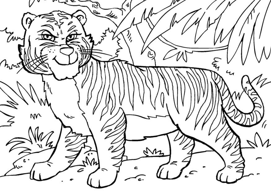 tigre Dibujo para colorear tigre