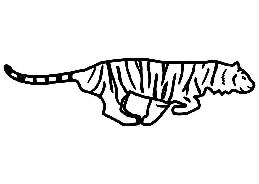 tigre corriendo Dibujo para colorear tigre corriendo
