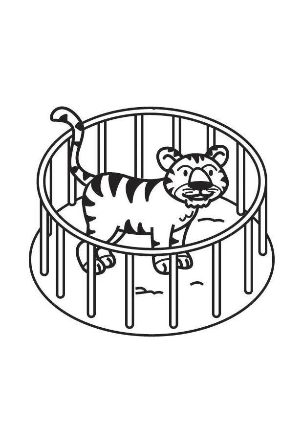 tigre en jaula Dibujo para colorear tigre en jaula