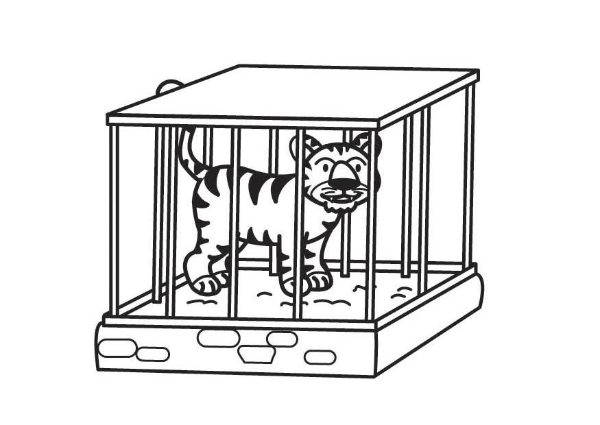tigre en jaula Dibujo para colorear tigre en jaula