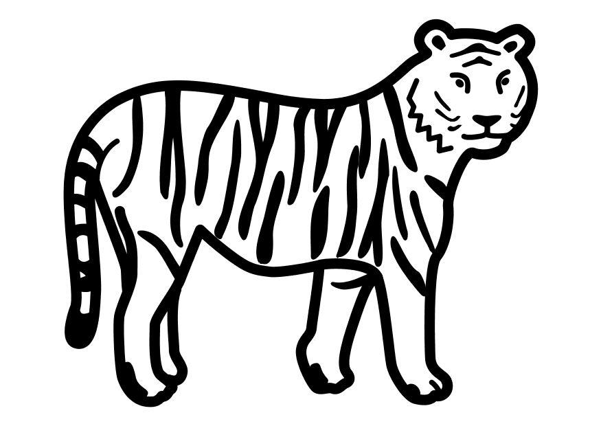 tigre parado Dibujo para colorear tigre parado