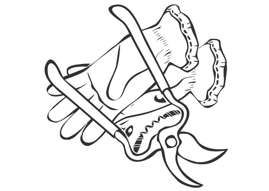 Dibujo para colorear tijeras de podar y guantes de jardA­n