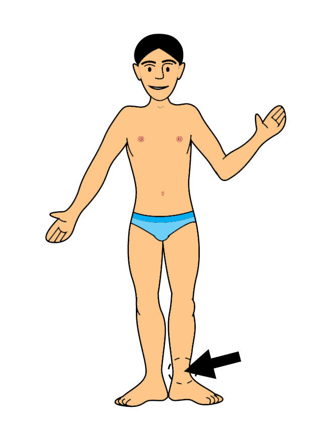 tobillo Imagen tobillo