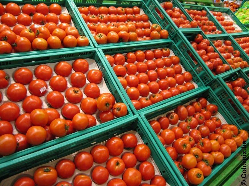 tomates Foto tomates