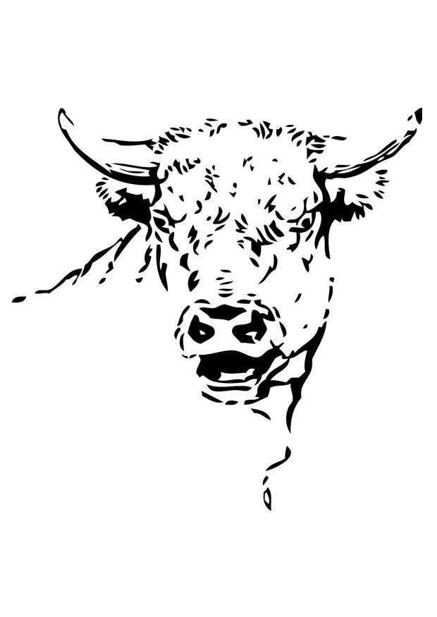 toro Dibujo para colorear toro