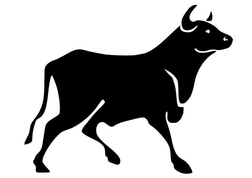 toro Dibujo para colorear toro