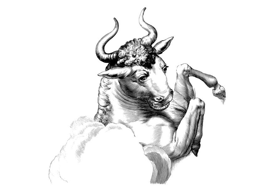 toro Dibujo para colorear toro