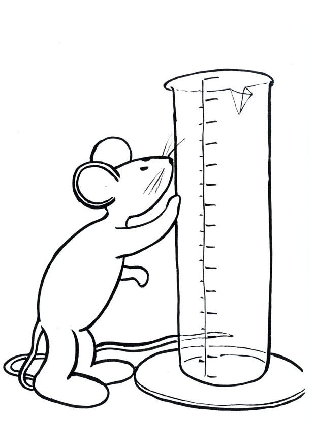 Dibujo para colorear transi, el conejo