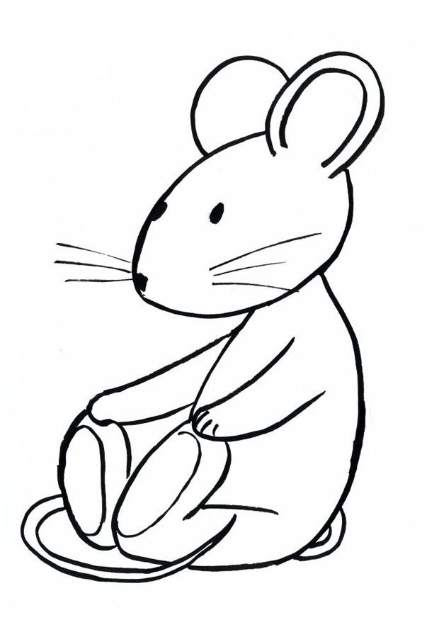 Dibujo para colorear transi, el conejo