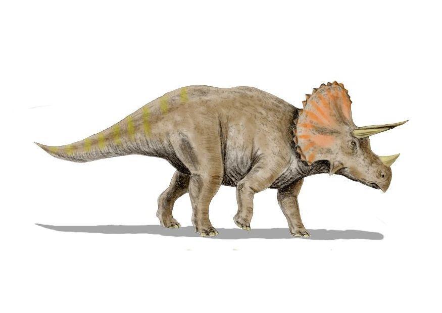 Imagen triceratops
