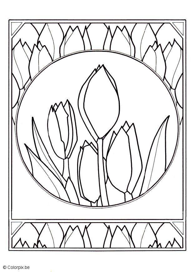 tulipanes Dibujo para colorear tulipanes