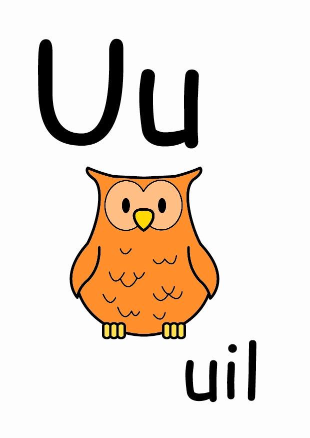 u Imagen u