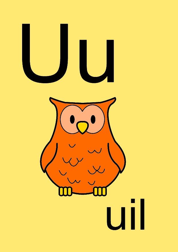 u Imagen u