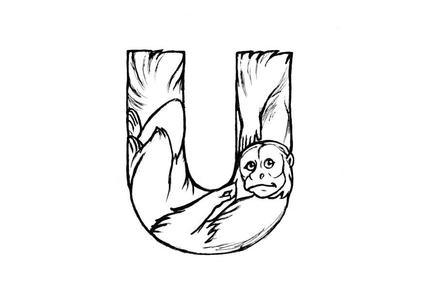 u-uakari Dibujo para colorear u-uakari